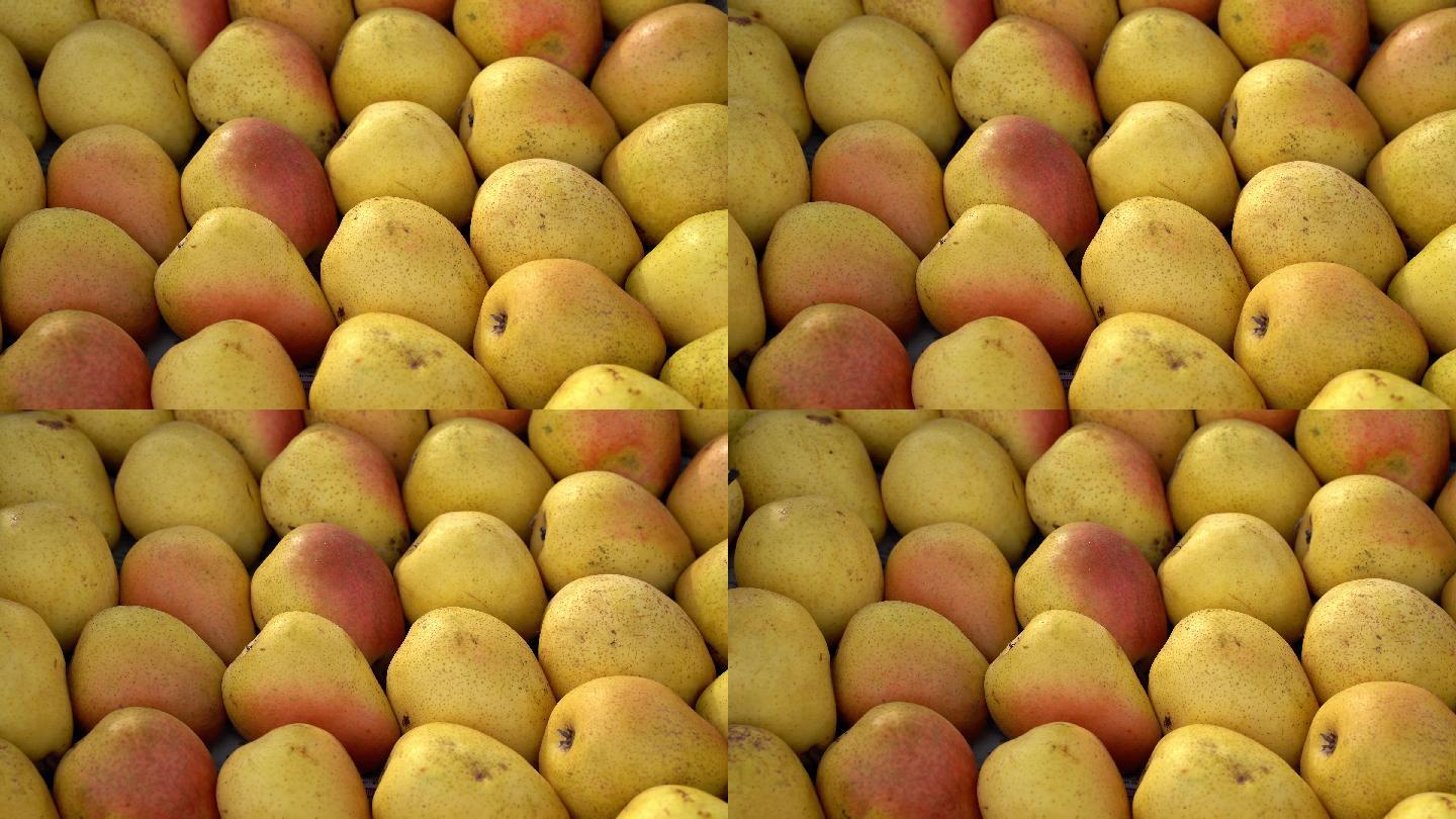 黄色的梨农产品美食酥梨