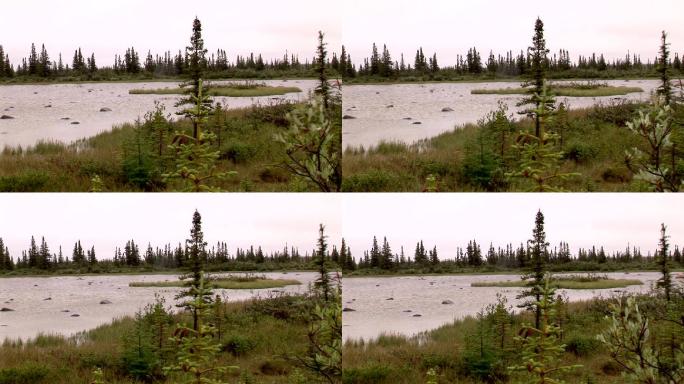 加拿大北部森林风景湖水水景湖畔湖景湖面