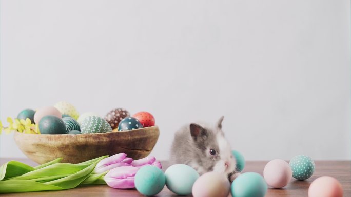 可爱的复活节兔子坐在木桌上