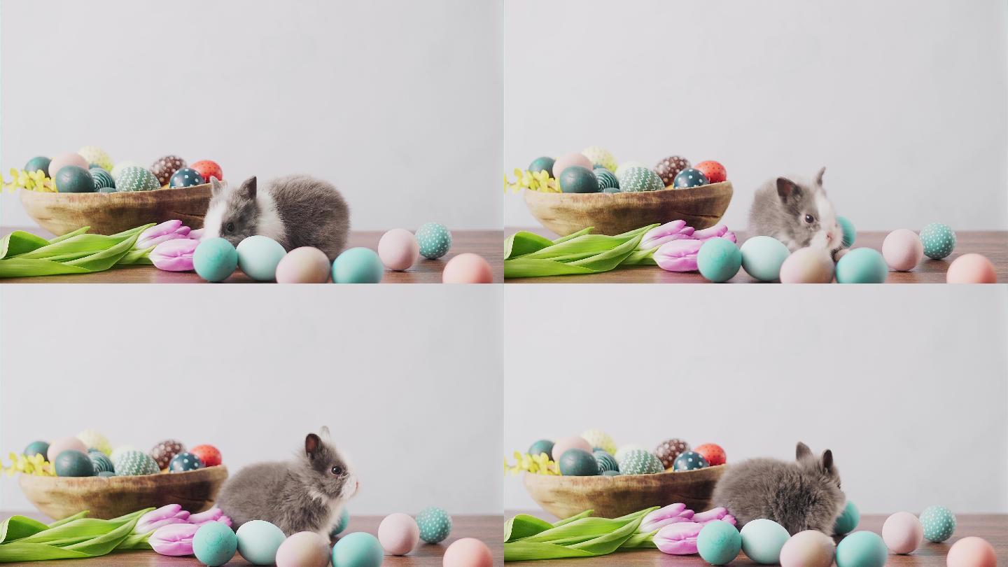 可爱的复活节兔子坐在木桌上