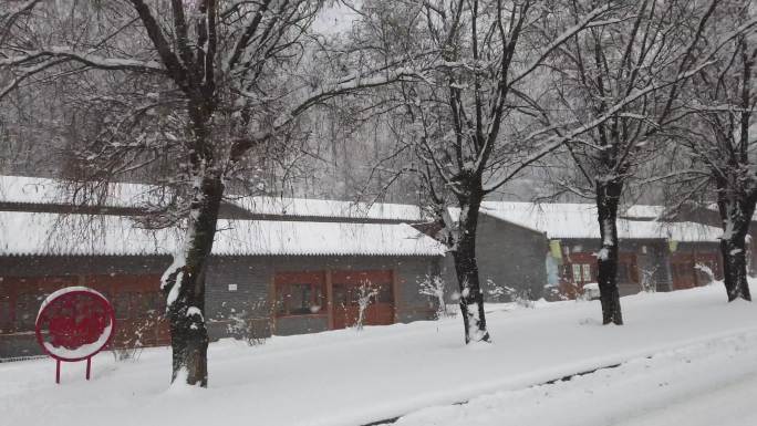 雪景冬季森林冰天雪地 雾凇 唯美雪景公路