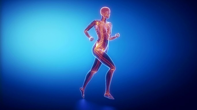 跑步女性骨骼扫描3D动画