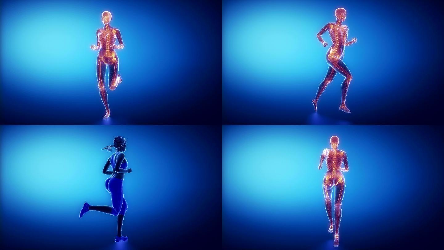 跑步女性骨骼扫描3D动画