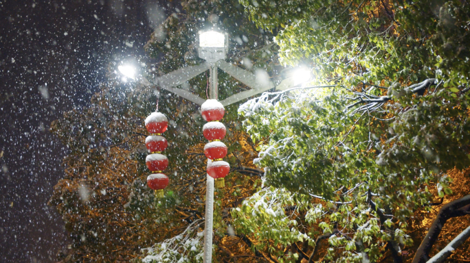 唯美城市下雪大雪迎新年年味