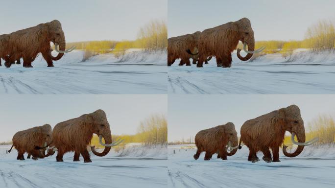 雪地里行走的猛犸3D动画