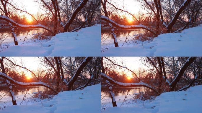 夕阳下冬天的河流森林霜冻自然