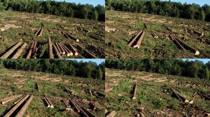 砍伐的森林工地作业施工安全工地唯美