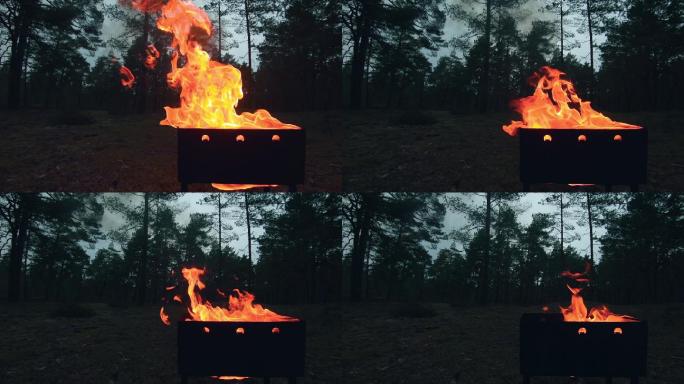 火盆里燃烧的火焰烈火大火篝火野炊烤肉