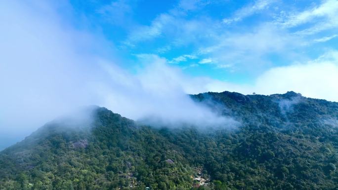 山林云雾缭绕航拍