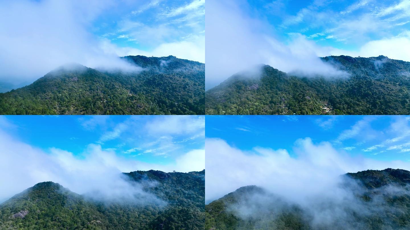 山林云雾缭绕航拍