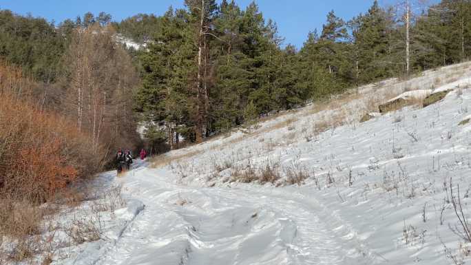 一群游客穿越俄罗斯的雪域