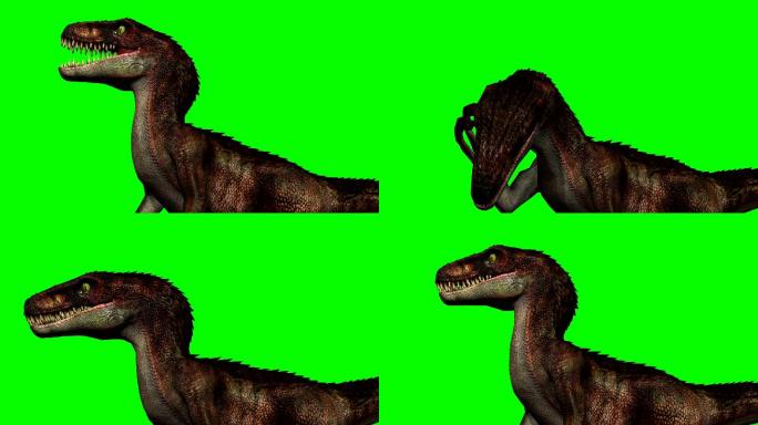 恐龙-绿色屏幕