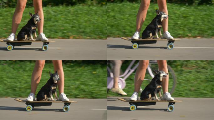 和狗狗一起滑滑板