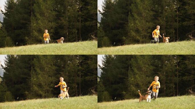 男孩和他的小猎犬在绿色的草坪上奔跑