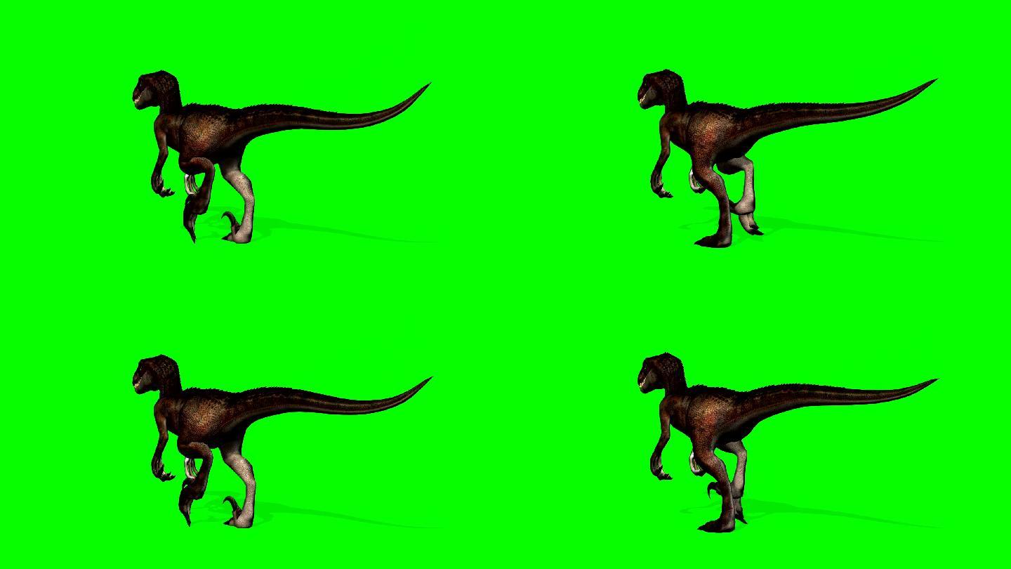 恐龙行走-绿色屏幕