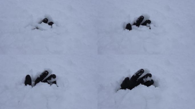 雪崩过后，一只手从雪地里伸出来。