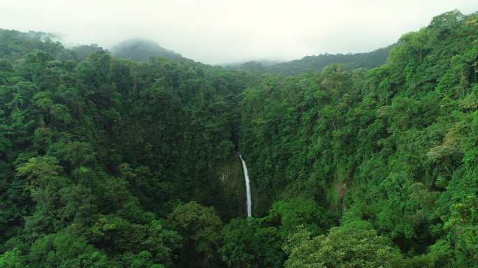 雨林中的拉福图纳瀑布