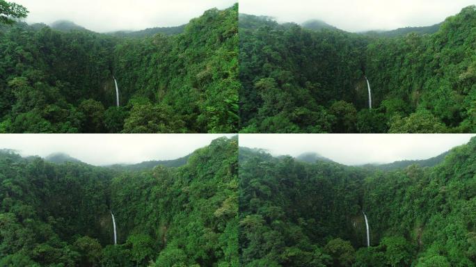 雨林中的拉福图纳瀑布