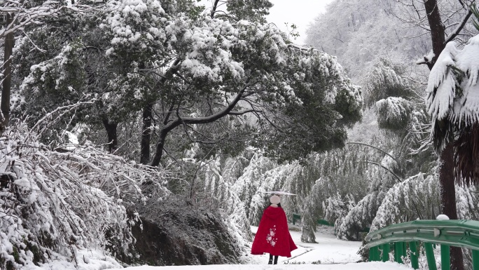 雪中背影 女子背影走远