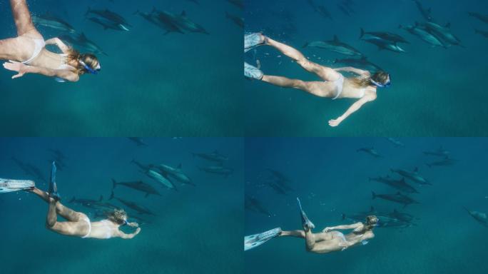 和海豚一起游泳的美女