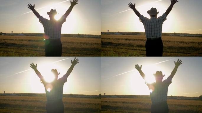 老农站在麦田里，向太阳举起双手