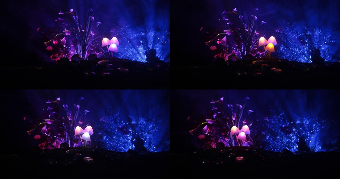在神秘的黑暗森林特写镜头中的三个发光蘑菇