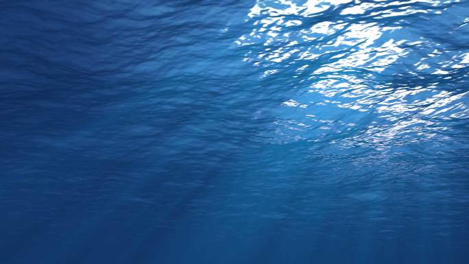 穿透深蓝色的海水光束水生生物放松