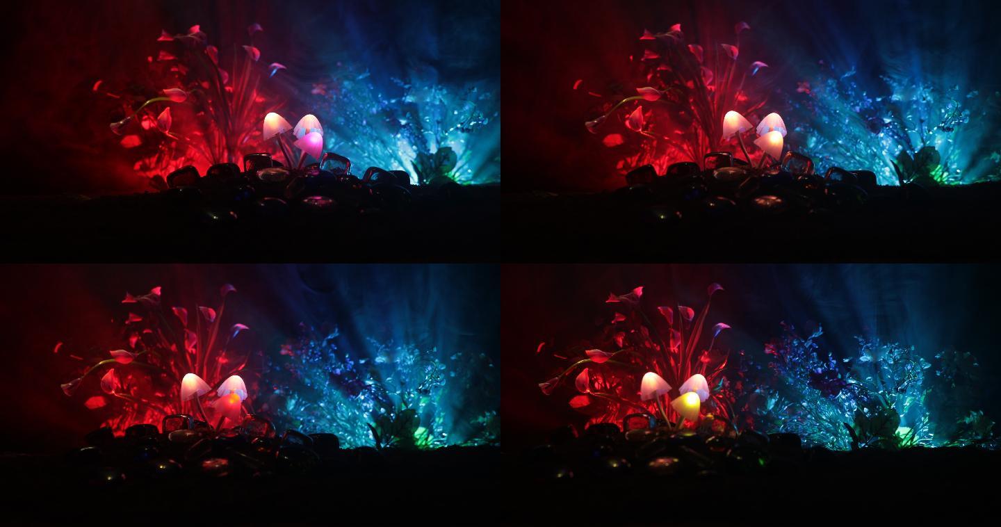 在神秘的黑暗森林特写镜头中的三个发光蘑菇