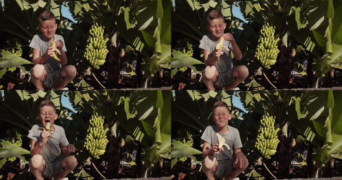可爱的宝宝在香蕉农场吃香蕉