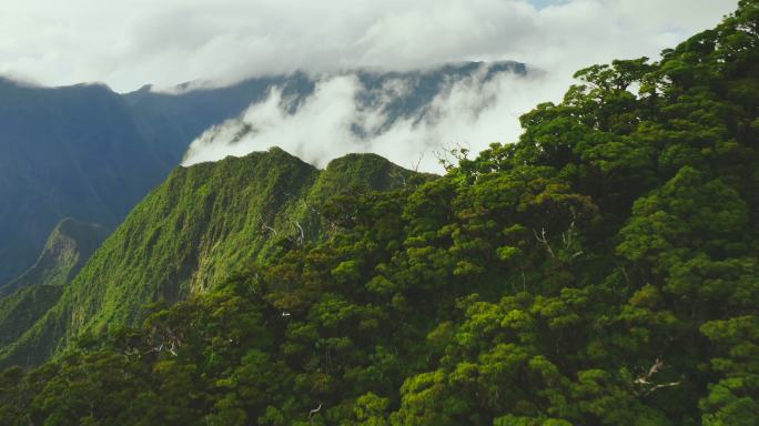 郁郁葱葱的热带山峰