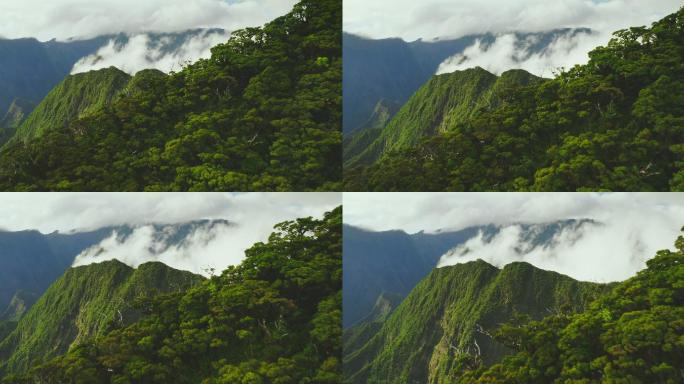 郁郁葱葱的热带山峰