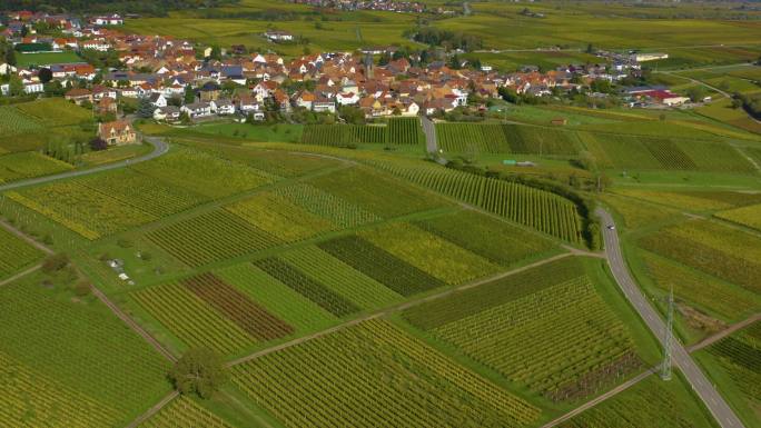 德国葡萄园和房屋的鸟瞰图。