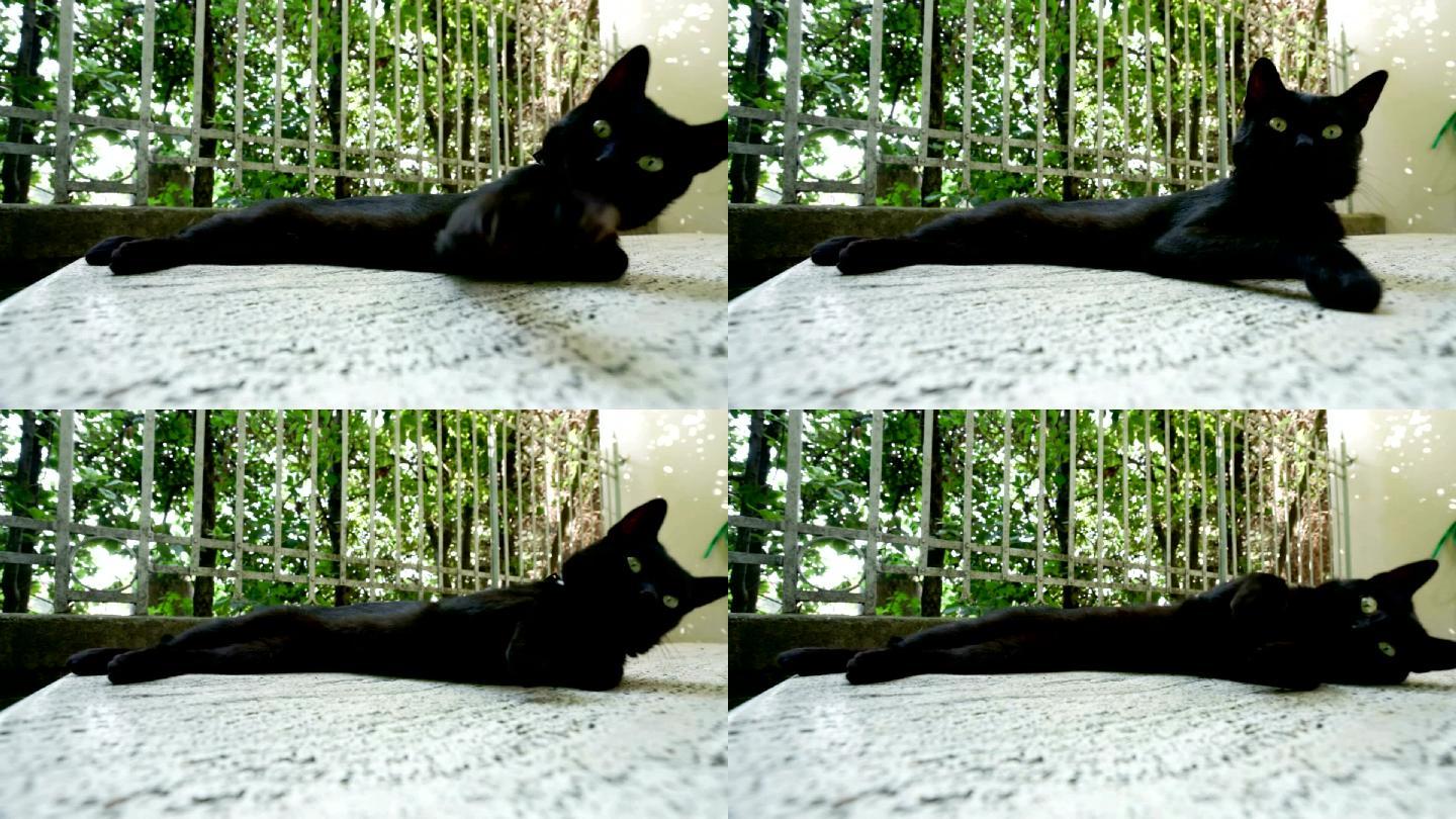 一只黑猫躺在石头上