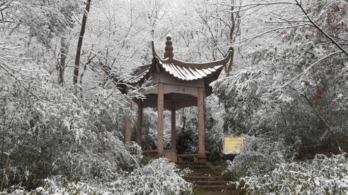 南京紫金山雪景实拍