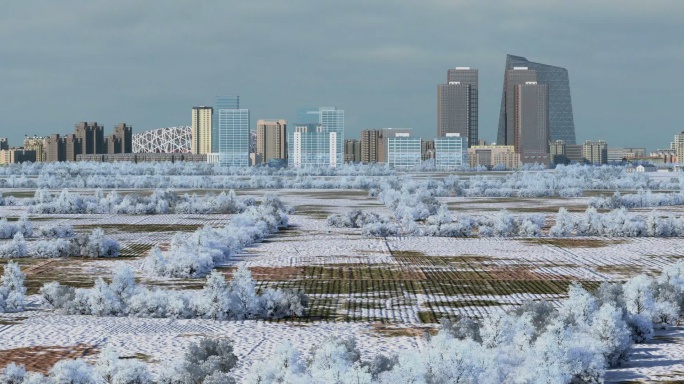 城市雪景