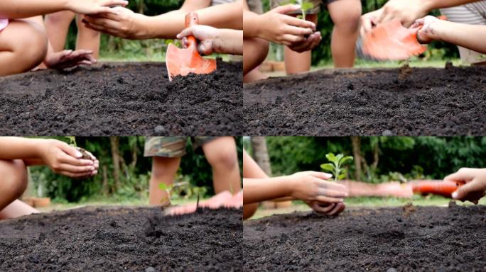 女孩为在地上种植树苗而挖掘