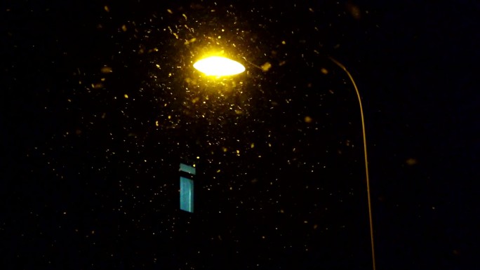 原创视频素材 街头夜景路灯下飞舞的雪花