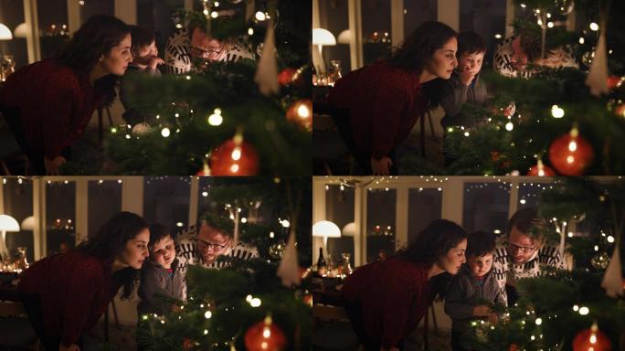 一家人一起看圣诞树的灯
