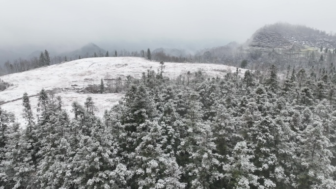 白茫茫的雪景