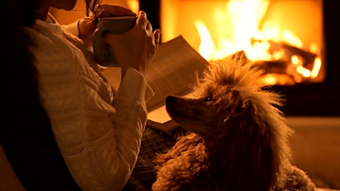 年轻女子和她的狗坐在家里的壁炉旁看书