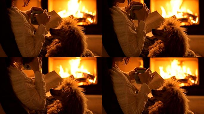 年轻女子和她的狗坐在家里的壁炉旁看书