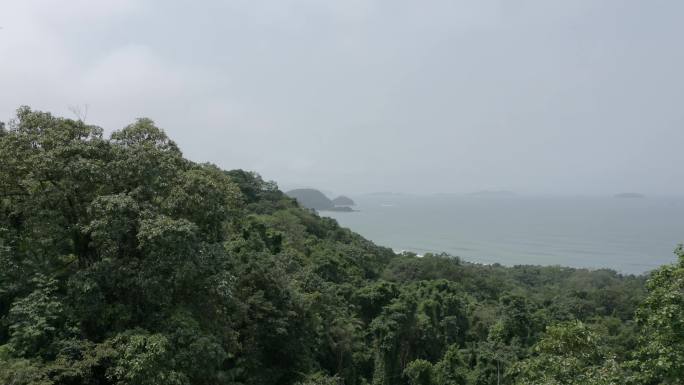 热带海滩无人机视图