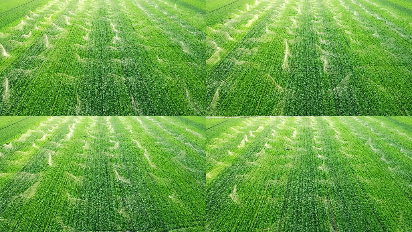 草地农业灌溉系统