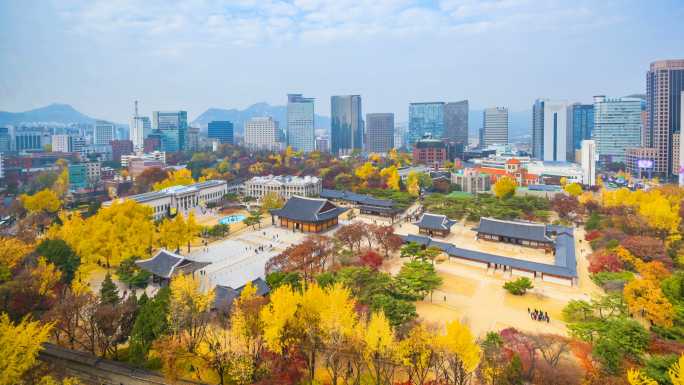 韩国首尔公园里的延时摄影