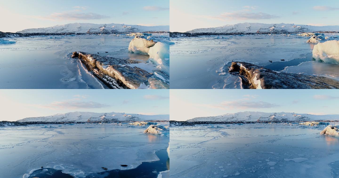蓝色海洋中冰岛白色冰山上的海豹。