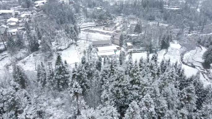 航拍农村下雪雪景