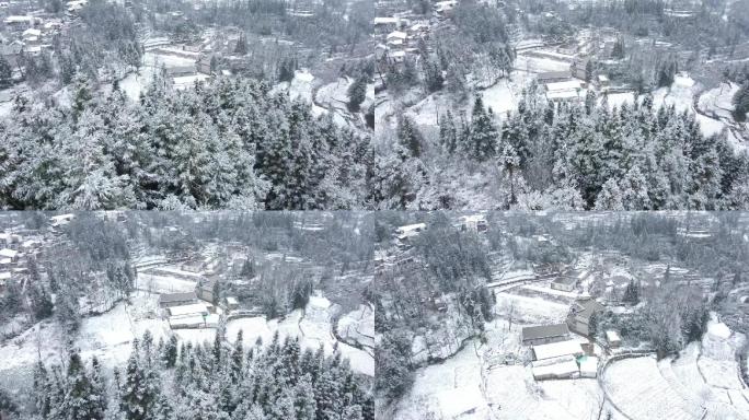 航拍农村下雪雪景