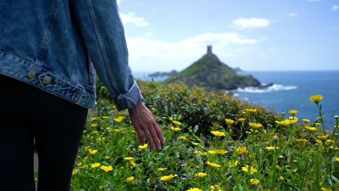 科西嘉岛海岸线和海滩