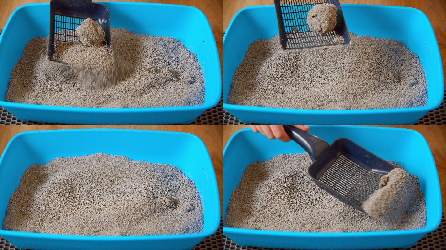 在家清理猫砂猫砂广告清理猫砂