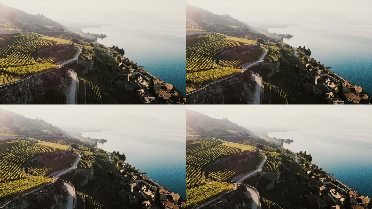 瑞士日内瓦湖附近的葡萄园航拍视频